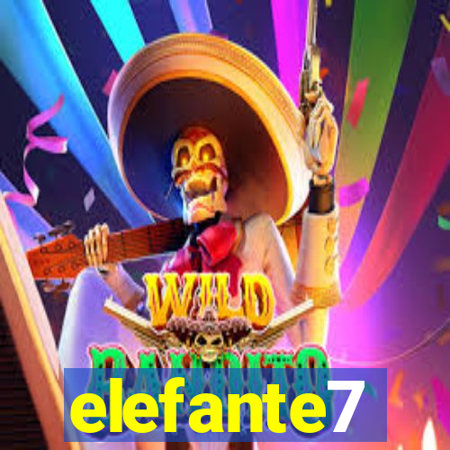 elefante7