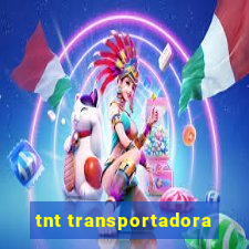 tnt transportadora