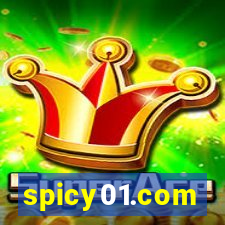 spicy01.com