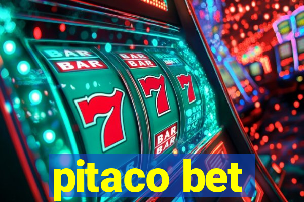 pitaco bet