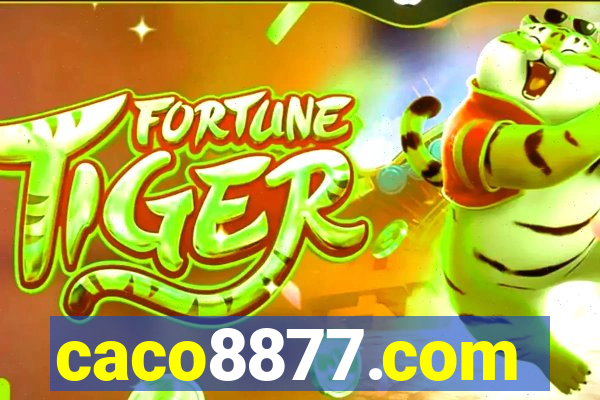 caco8877.com