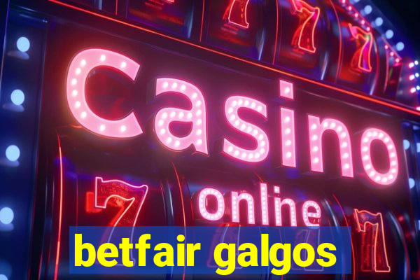 betfair galgos