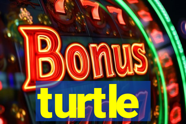 turtle-ty.com